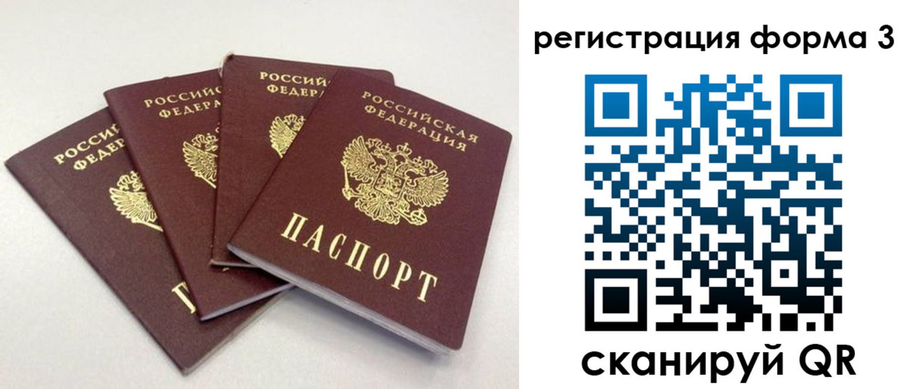 прописка 2025 в Елизово